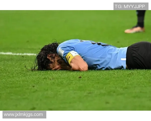 足球明星背后的不知名英雄们他们的故事同样值得被铭记与传颂